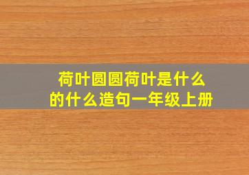 荷叶圆圆荷叶是什么的什么造句一年级上册