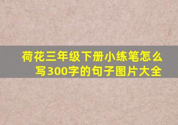 荷花三年级下册小练笔怎么写300字的句子图片大全