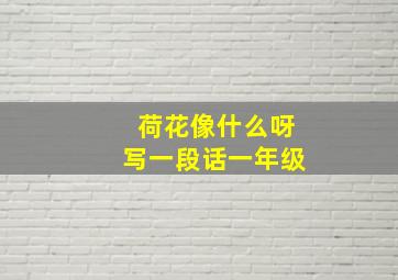 荷花像什么呀写一段话一年级