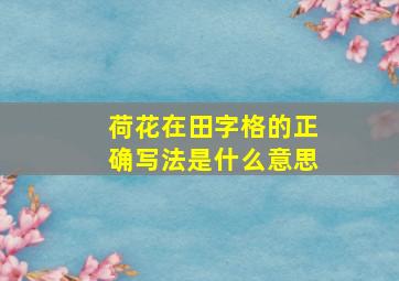 荷花在田字格的正确写法是什么意思