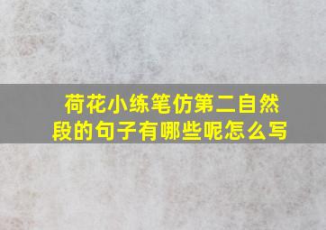 荷花小练笔仿第二自然段的句子有哪些呢怎么写