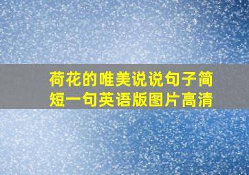 荷花的唯美说说句子简短一句英语版图片高清