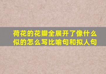 荷花的花瓣全展开了像什么似的怎么写比喻句和拟人句