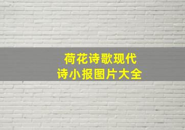 荷花诗歌现代诗小报图片大全