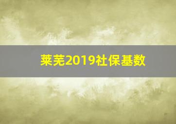 莱芜2019社保基数