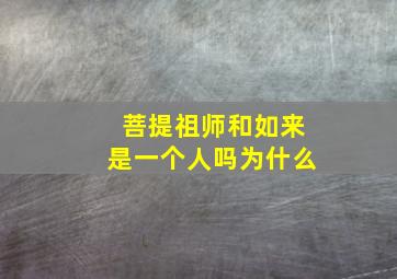 菩提祖师和如来是一个人吗为什么