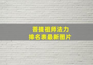 菩提祖师法力排名表最新图片