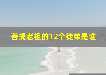 菩提老祖的12个徒弟是谁