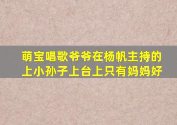 萌宝唱歌爷爷在杨帆主持的上小孙子上台上只有妈妈好