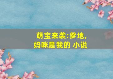 萌宝来袭:爹地,妈咪是我的 小说