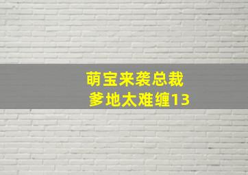 萌宝来袭总裁爹地太难缠13