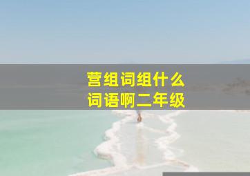 营组词组什么词语啊二年级