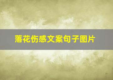 落花伤感文案句子图片