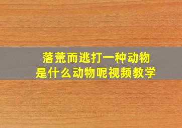 落荒而逃打一种动物是什么动物呢视频教学