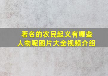 著名的农民起义有哪些人物呢图片大全视频介绍