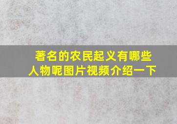 著名的农民起义有哪些人物呢图片视频介绍一下