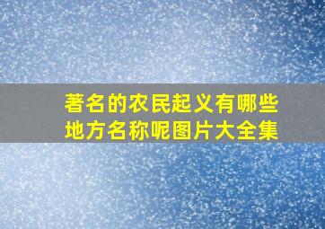 著名的农民起义有哪些地方名称呢图片大全集