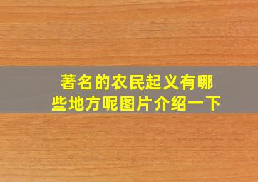 著名的农民起义有哪些地方呢图片介绍一下