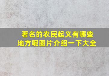 著名的农民起义有哪些地方呢图片介绍一下大全