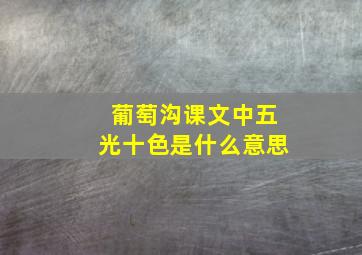 葡萄沟课文中五光十色是什么意思