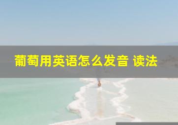 葡萄用英语怎么发音 读法