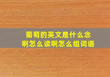 葡萄的英文是什么念啊怎么读啊怎么组词语