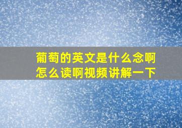 葡萄的英文是什么念啊怎么读啊视频讲解一下