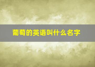 葡萄的英语叫什么名字