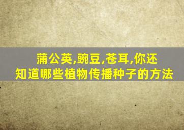 蒲公英,豌豆,苍耳,你还知道哪些植物传播种子的方法