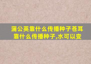 蒲公英靠什么传播种子苍耳靠什么传播种子,水可以变