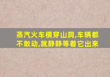 蒸汽火车横穿山洞,车辆都不敢动,就静静等着它出来