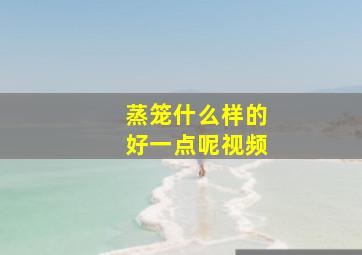 蒸笼什么样的好一点呢视频