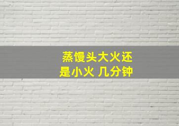 蒸馒头大火还是小火 几分钟