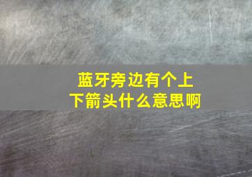 蓝牙旁边有个上下箭头什么意思啊