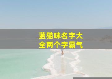 蓝猫咪名字大全两个字霸气