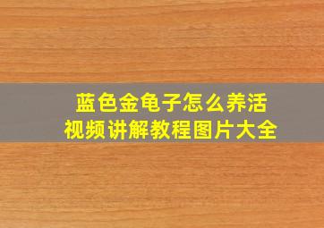 蓝色金龟子怎么养活视频讲解教程图片大全