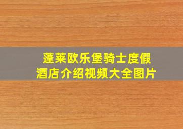 蓬莱欧乐堡骑士度假酒店介绍视频大全图片