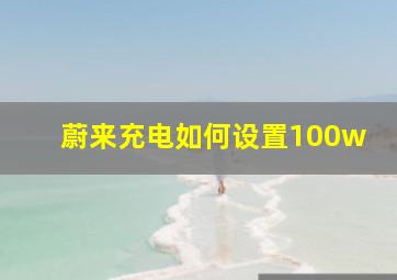 蔚来充电如何设置100w