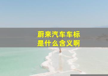 蔚来汽车车标是什么含义啊