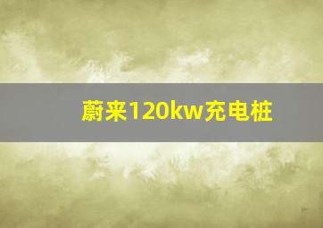 蔚来120kw充电桩