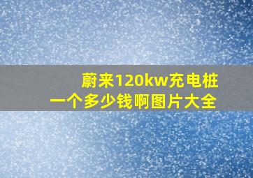 蔚来120kw充电桩一个多少钱啊图片大全