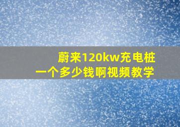 蔚来120kw充电桩一个多少钱啊视频教学