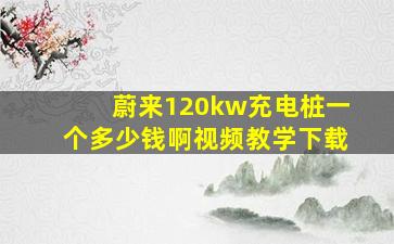 蔚来120kw充电桩一个多少钱啊视频教学下载