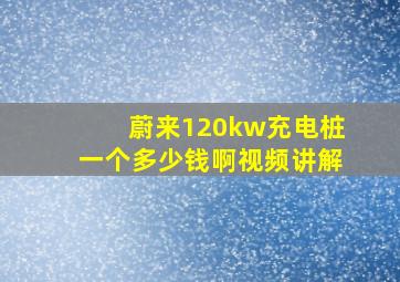 蔚来120kw充电桩一个多少钱啊视频讲解