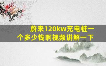 蔚来120kw充电桩一个多少钱啊视频讲解一下