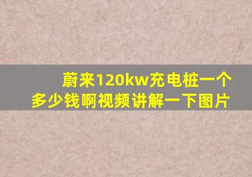 蔚来120kw充电桩一个多少钱啊视频讲解一下图片