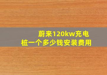 蔚来120kw充电桩一个多少钱安装费用