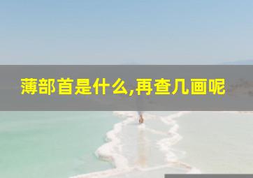 薄部首是什么,再查几画呢