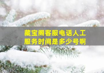 藏宝阁客服电话人工服务时间是多少号啊