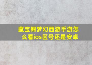 藏宝阁梦幻西游手游怎么看ios区号还是安卓